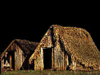 traditional house, ruka